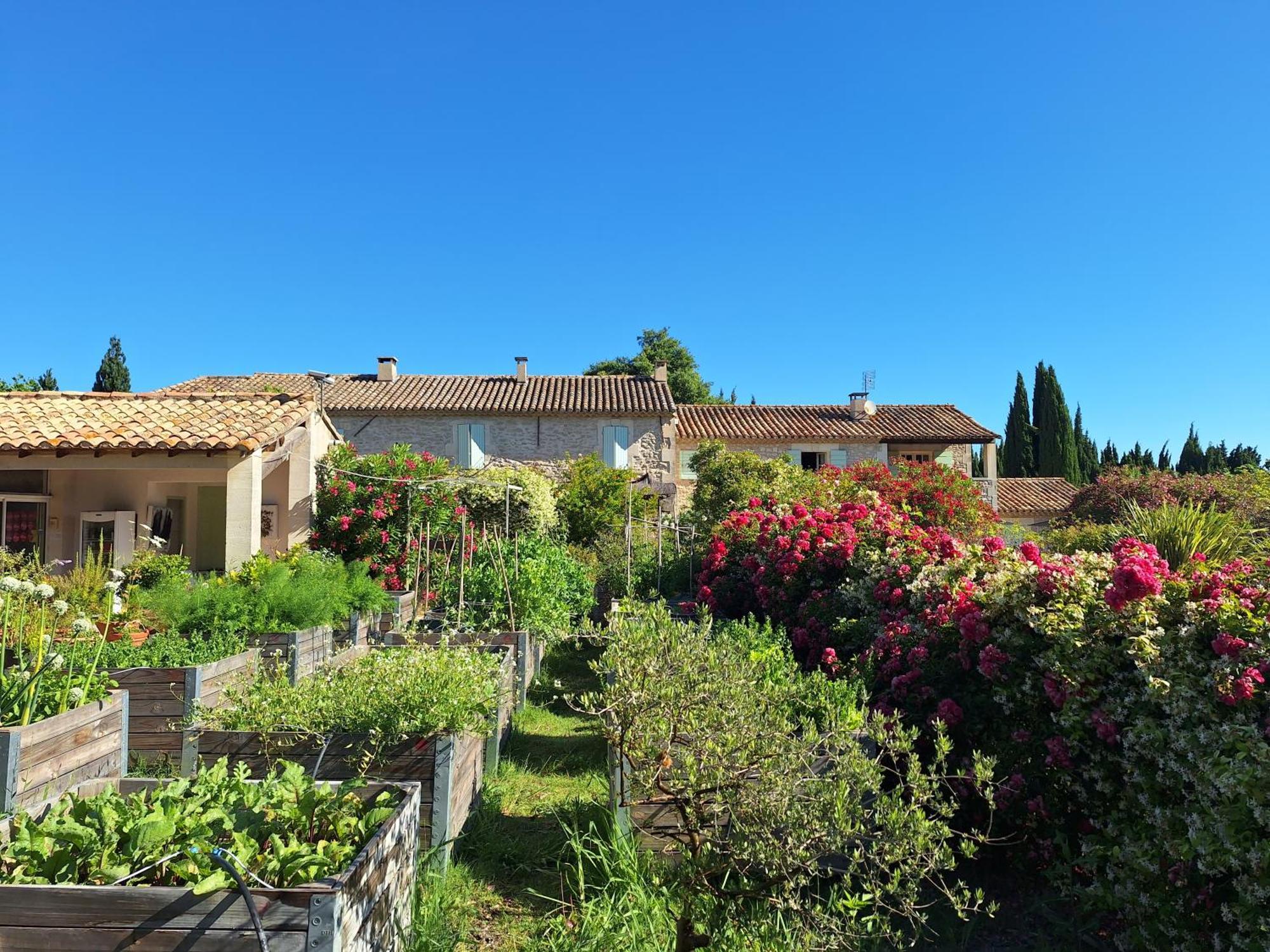 Mas Des Figues - Mas Xviiie - Ouvert 01 Mai Au 30 Septembre 2025 - Piscine Tres Calme - Alpilles Saint Remy De Provence - Cuisine Faite Maison Brunch Mediterraneen - Certifie Biologique Frbio10 Potager Huile D'Olive Bio Roseraie Biodiversite Agritour المظهر الخارجي الصورة