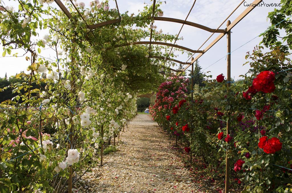 Mas Des Figues - Mas Xviiie - Ouvert 01 Mai Au 30 Septembre 2025 - Piscine Tres Calme - Alpilles Saint Remy De Provence - Cuisine Faite Maison Brunch Mediterraneen - Certifie Biologique Frbio10 Potager Huile D'Olive Bio Roseraie Biodiversite Agritour المظهر الخارجي الصورة