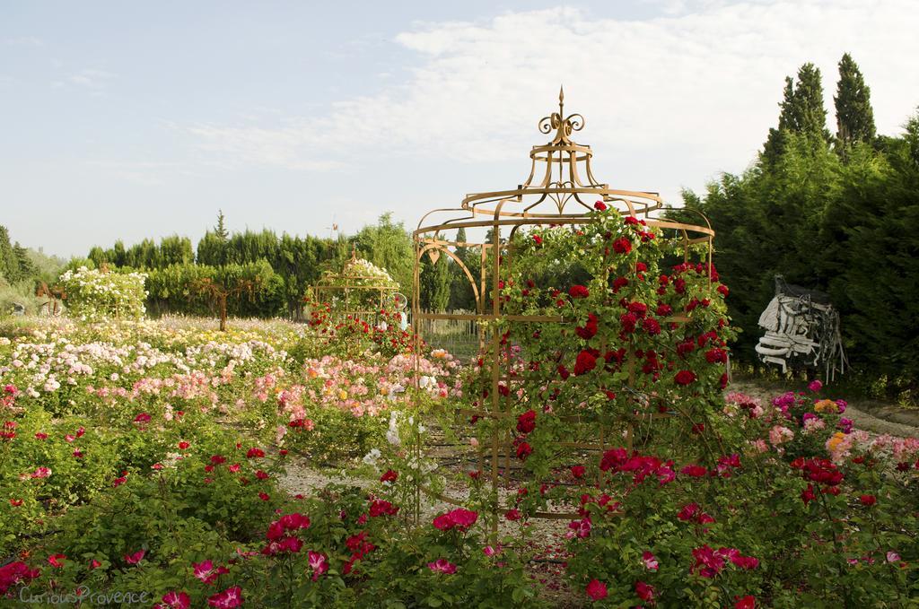 Mas Des Figues - Mas Xviiie - Ouvert 01 Mai Au 30 Septembre 2025 - Piscine Tres Calme - Alpilles Saint Remy De Provence - Cuisine Faite Maison Brunch Mediterraneen - Certifie Biologique Frbio10 Potager Huile D'Olive Bio Roseraie Biodiversite Agritour المظهر الخارجي الصورة
