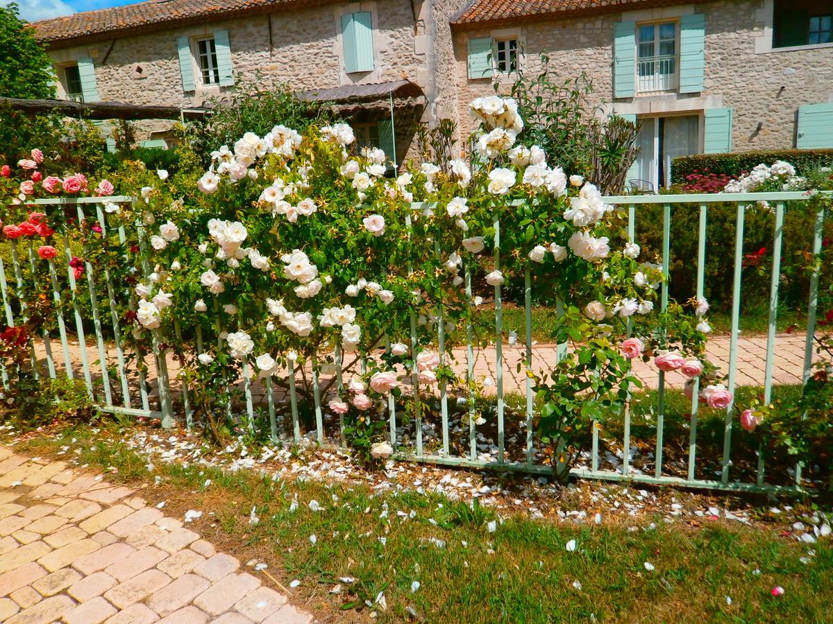 Mas Des Figues - Mas Xviiie - Ouvert 01 Mai Au 30 Septembre 2025 - Piscine Tres Calme - Alpilles Saint Remy De Provence - Cuisine Faite Maison Brunch Mediterraneen - Certifie Biologique Frbio10 Potager Huile D'Olive Bio Roseraie Biodiversite Agritour المظهر الخارجي الصورة