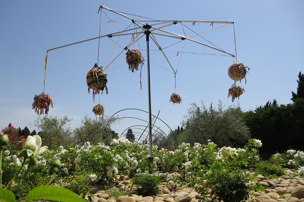 Mas Des Figues - Mas Xviiie - Ouvert 01 Mai Au 30 Septembre 2025 - Piscine Tres Calme - Alpilles Saint Remy De Provence - Cuisine Faite Maison Brunch Mediterraneen - Certifie Biologique Frbio10 Potager Huile D'Olive Bio Roseraie Biodiversite Agritour المظهر الخارجي الصورة